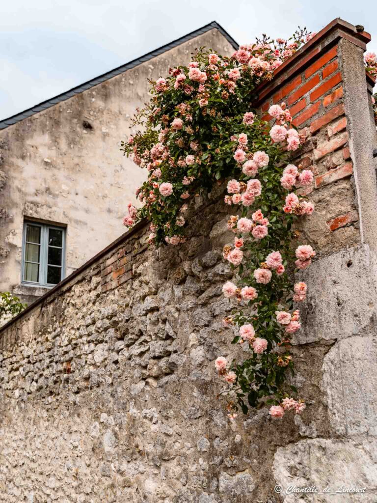 Beaugency