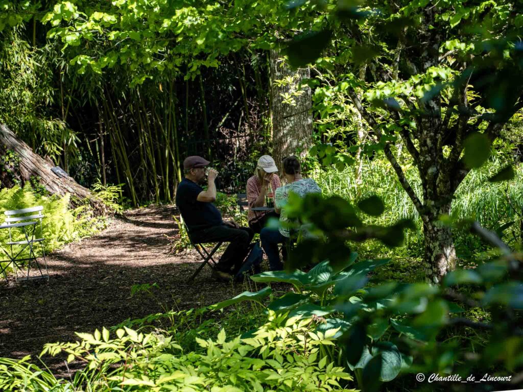 Meung sur Loire - Arboretum Ilex