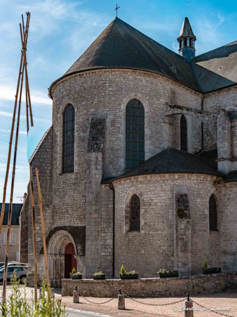 Meung sur Loire collégiale