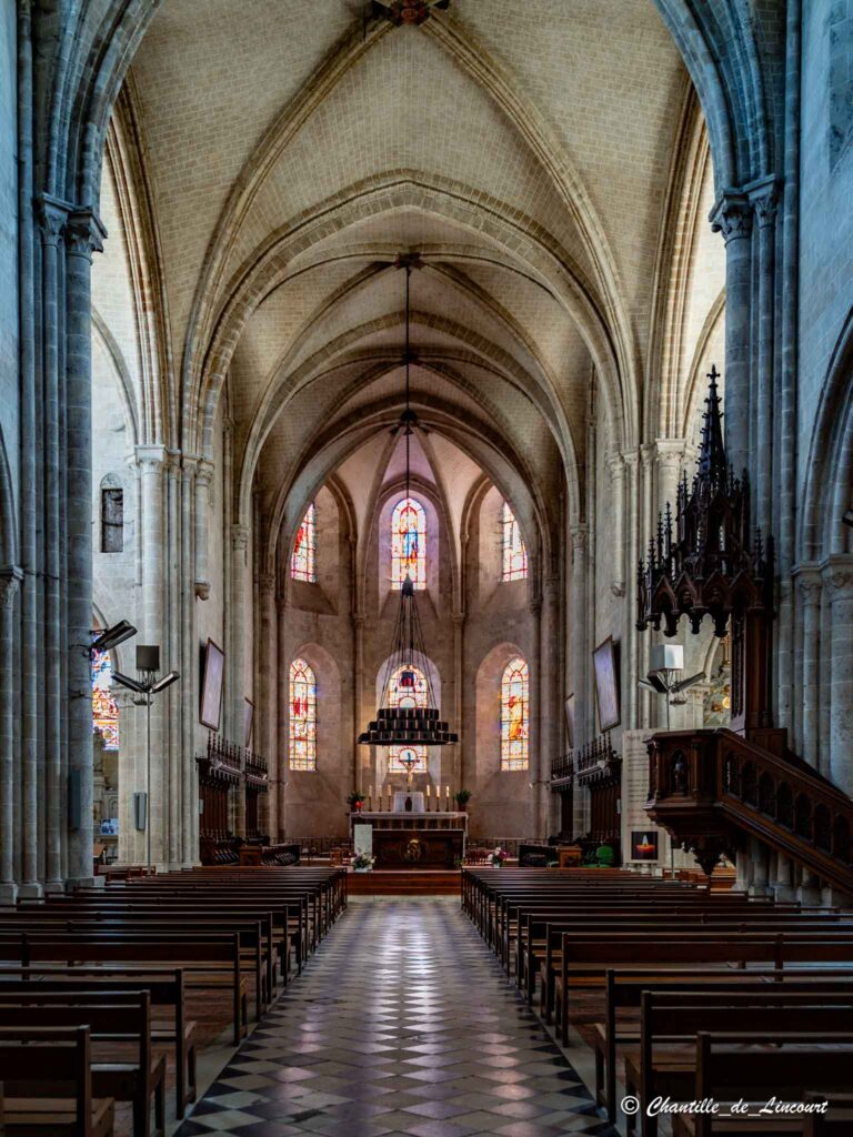 Meung sur Loire collégiale