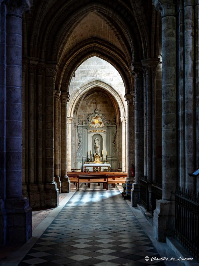 Meung sur Loire collégiale