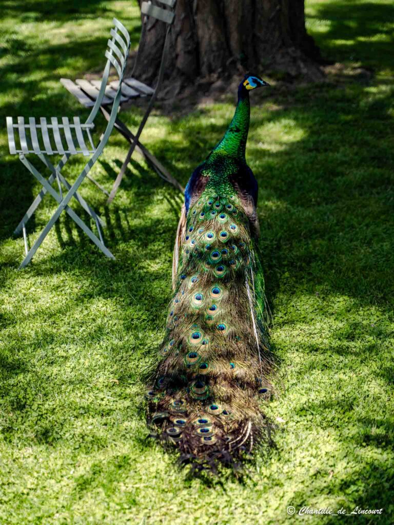 Meung-sur-Loire jardin de Roquelin